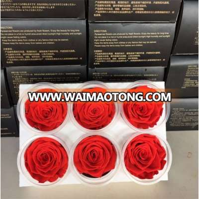 High quality Preserved Roses Preserved Roses as gifts