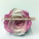 magic mix color rose flower head lasting forever rose for gifts