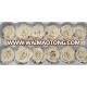 Wholesale A Grade forever Roses Best Quality 3-4cm rose