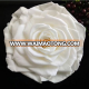 High quality cheap factory price beautiful wholesale preserved rose flower