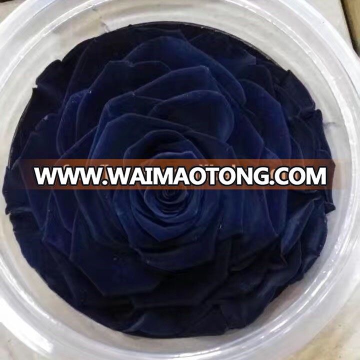 Wholesale Big preserved rose 9-10cm head various colors for choose